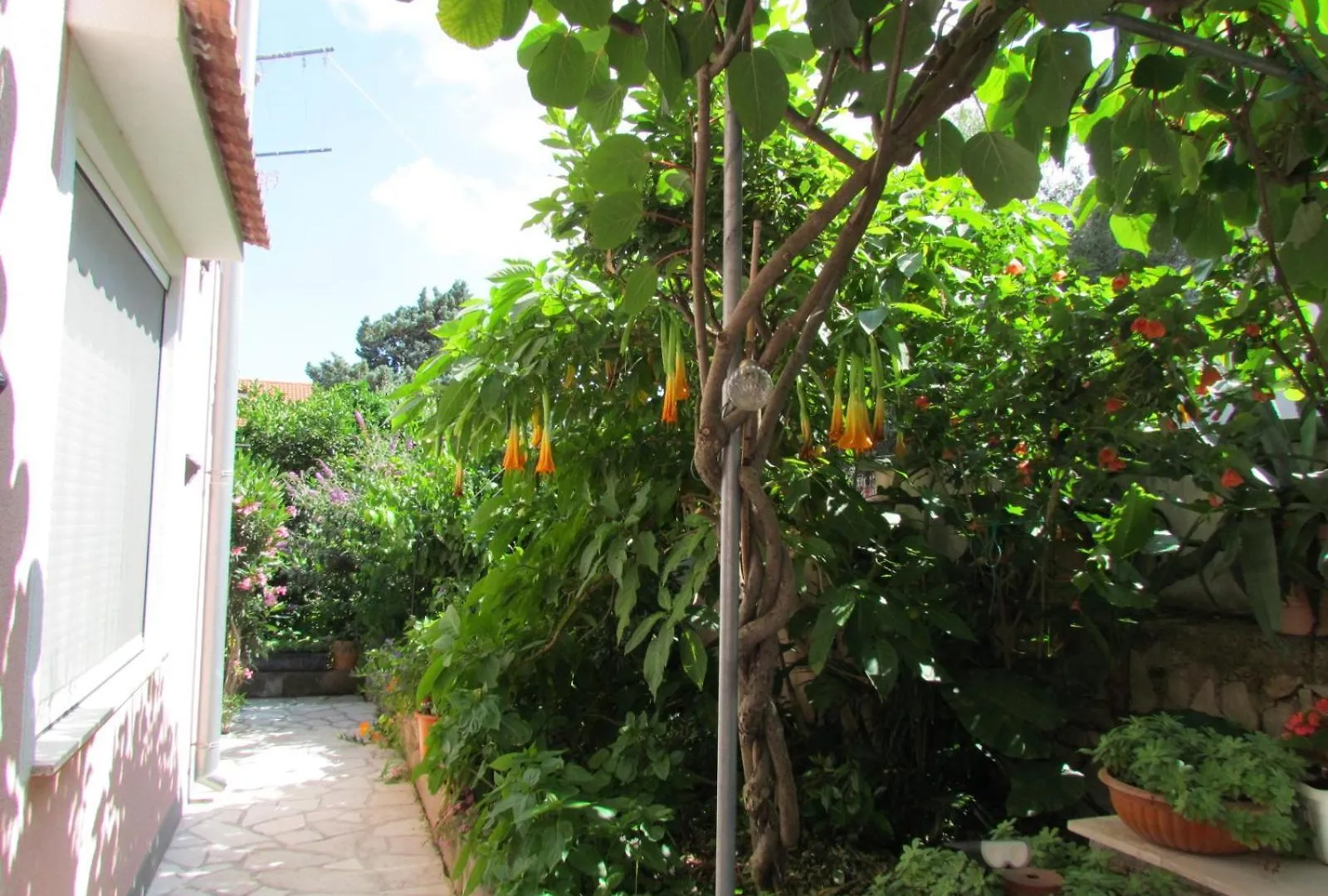 Apartments Bura & Jugo, Cres, Without Stress Croatie