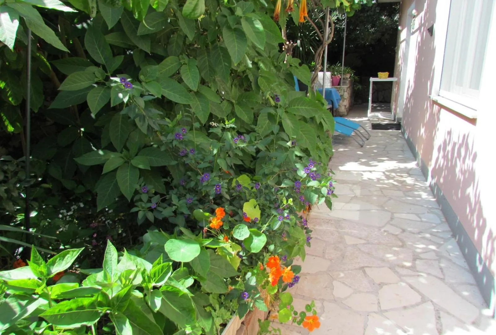 Apartments Bura & Jugo, Cres, Without Stress Croatie